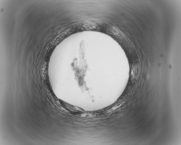 X0000085830867200704091655