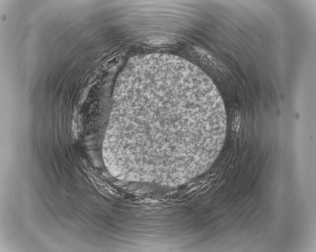 X0000085830868200704091655