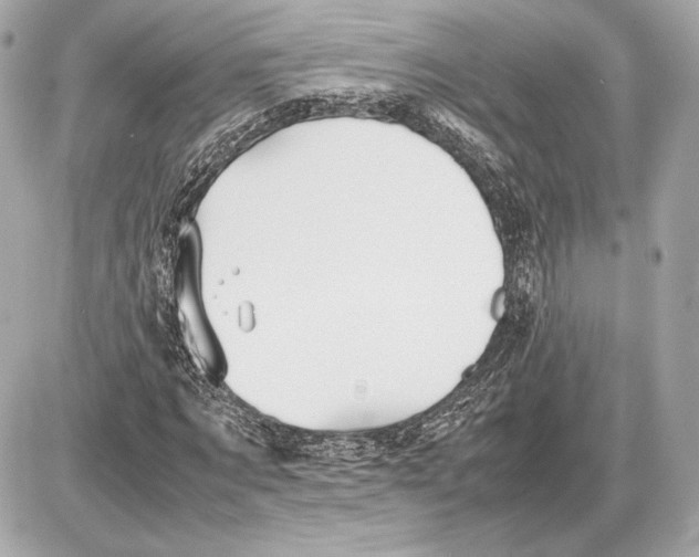 X0000085830869200704091655