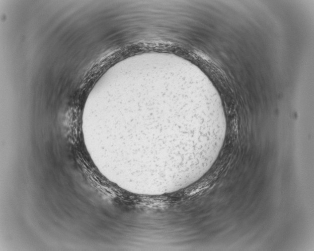 X0000085830870200704091655