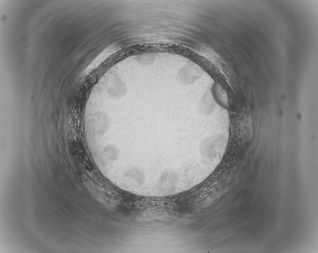 X0000085830871200704091655