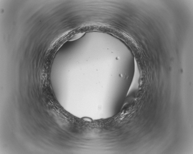 X0000085830872200704091655