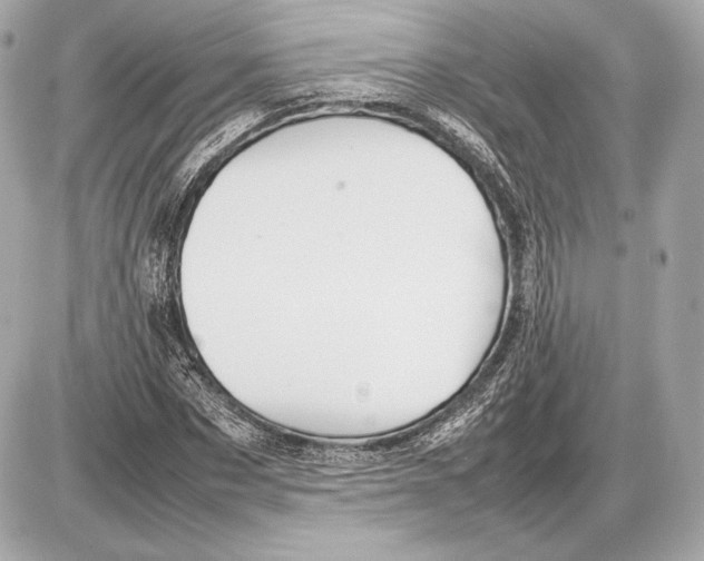 X0000085830873200704091655