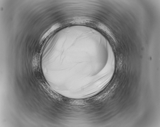 X0000085830874200704091655