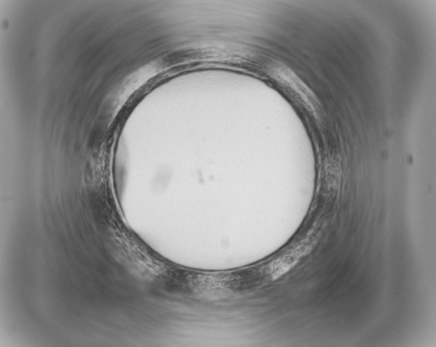 X0000085830875200704091655