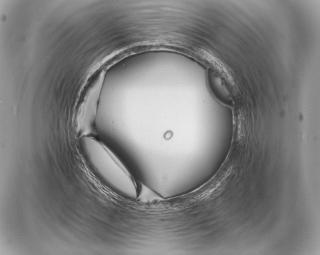 X0000085830876200704091655