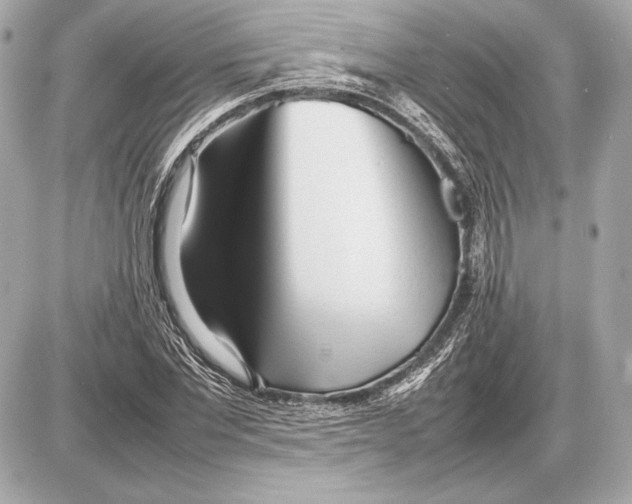 X0000085830877200704091655