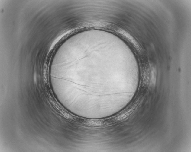 X0000085830878200704091655