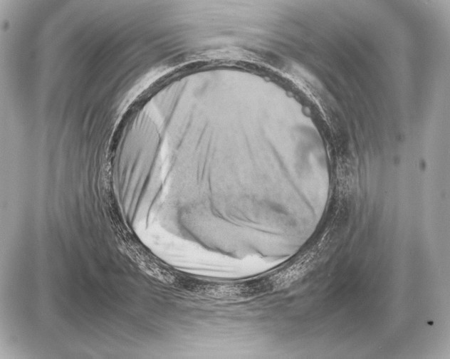 X0000085830879200704091655