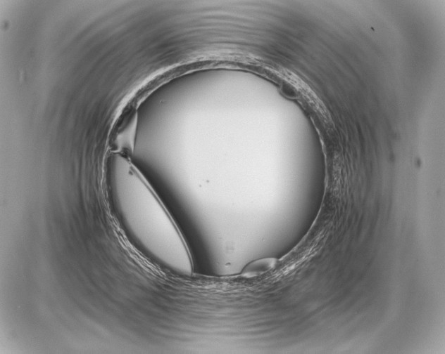 X0000085830880200704091655