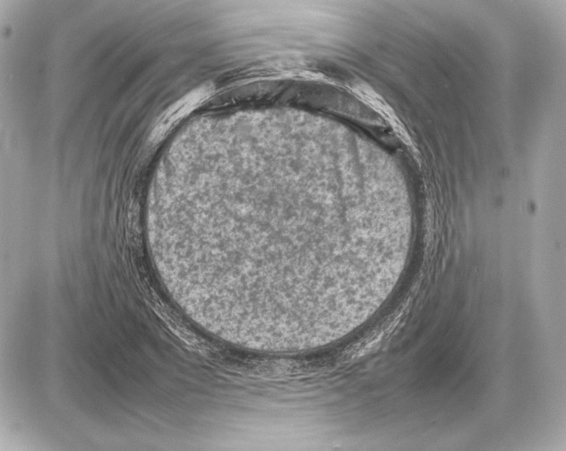 X0000085830881200704091655