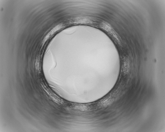 X0000085830882200704091655