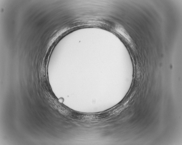 X0000085830883200704091655