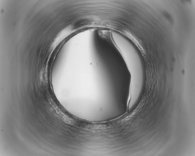 X0000085830884200704091655