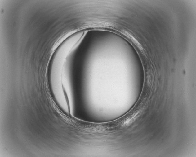 X0000085830885200704091655