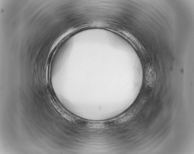 X0000085830886200704091655