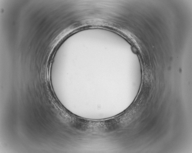 X0000085830887200704091655