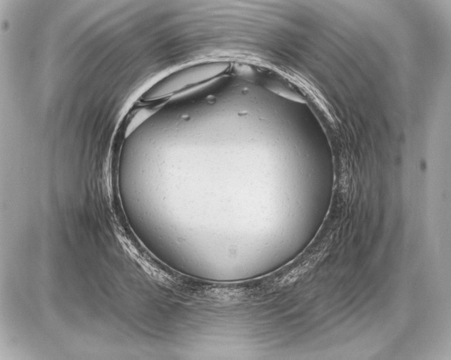 X0000085830888200704091655