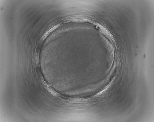 X0000085830889200704091655