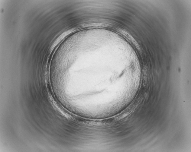 X0000085830890200704091655