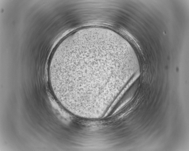 X0000085830892200704091655