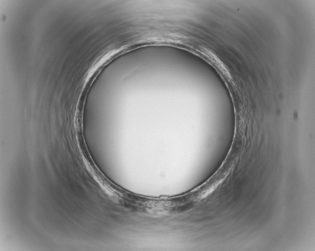 X0000085830893200704091655