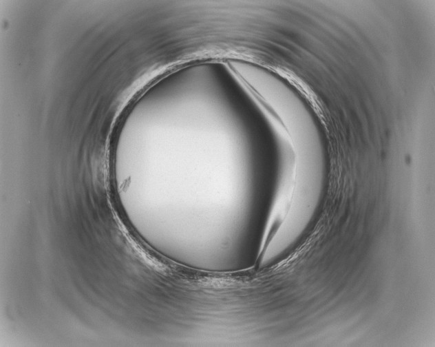 X0000085830894200704091655