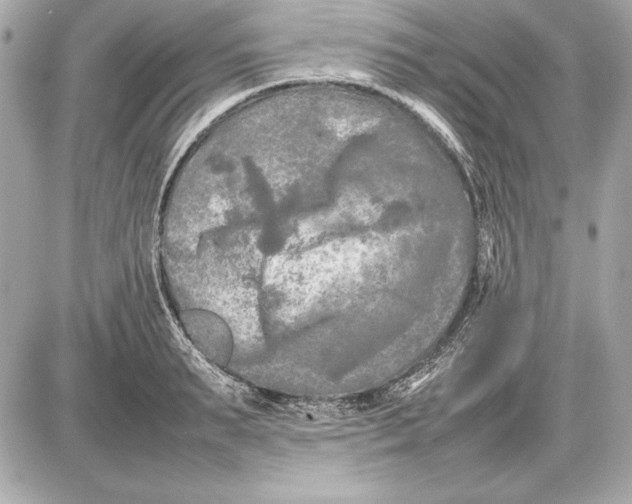 X0000085830895200704091655