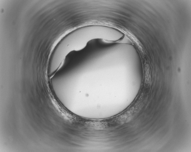 X0000085830896200704091655