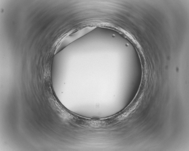 X0000085830897200704091655