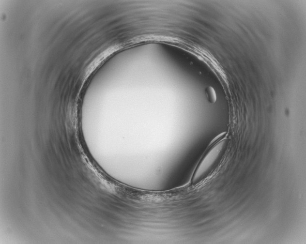 X0000085830898200704091655