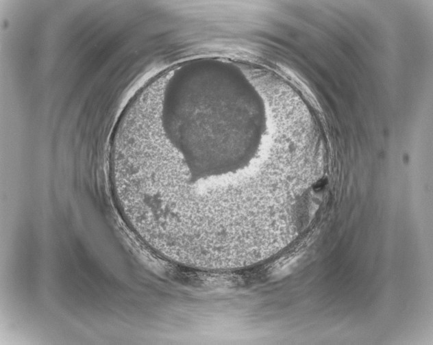 X0000085830899200704091655