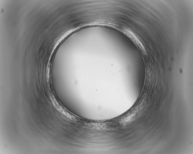 X0000085830900200704091655