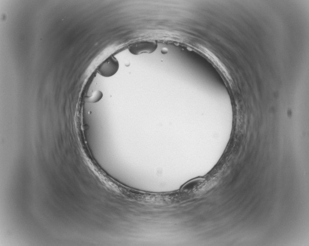 X0000085830901200704091655