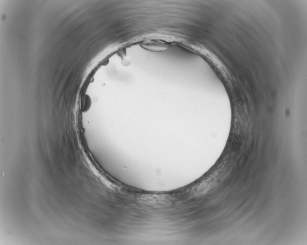 X0000085830902200704091655