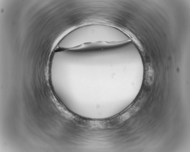 X0000085830904200704091655