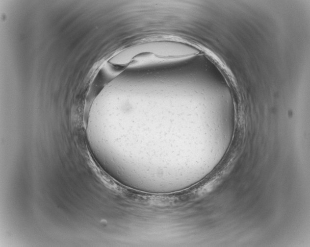 X0000085830905200704091655