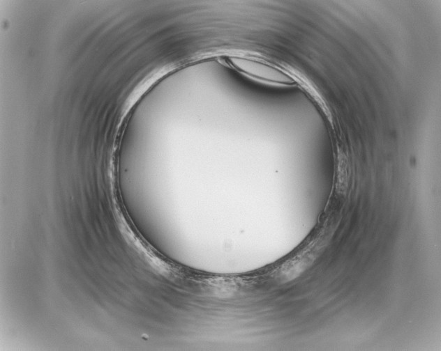 X0000085830906200704091655