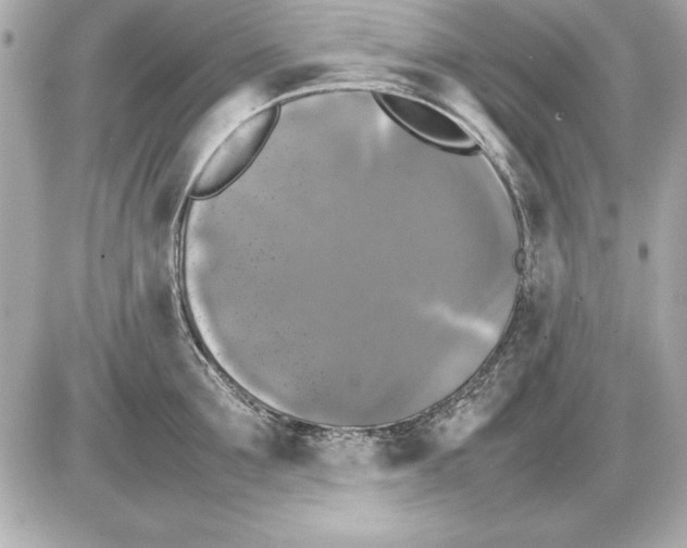 X0000085830907200704091655