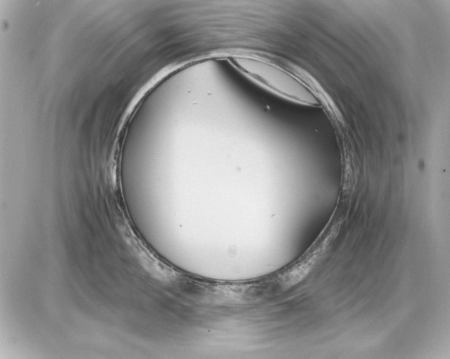 X0000085830908200704091655