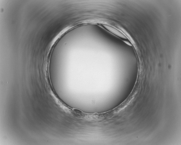 X0000085830909200704091655