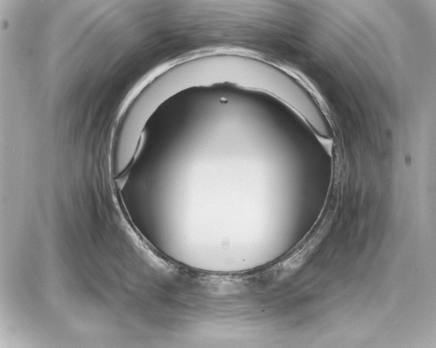 X0000085830910200704091654