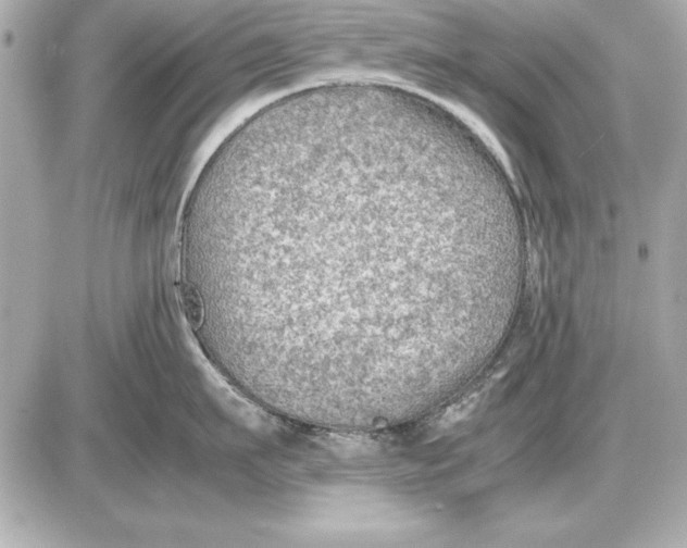 X0000085830911200704091654