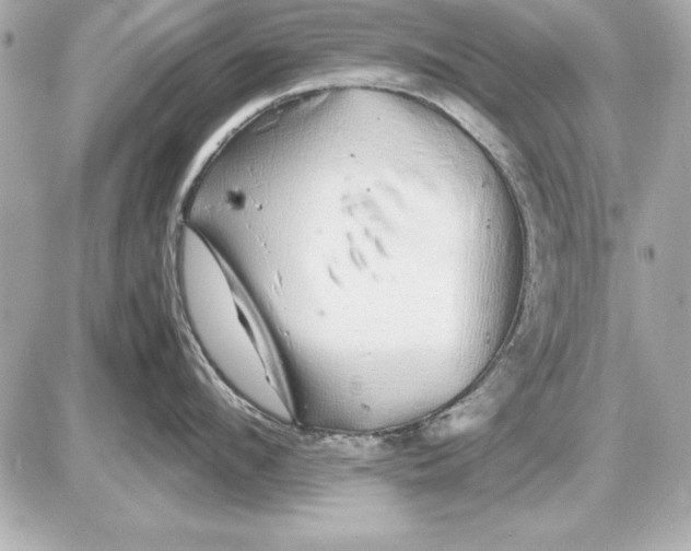 X0000085830912200704091654