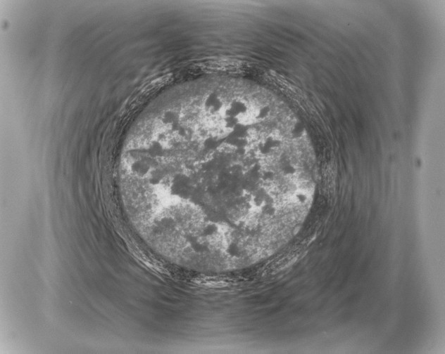 X0000085830913200704091654