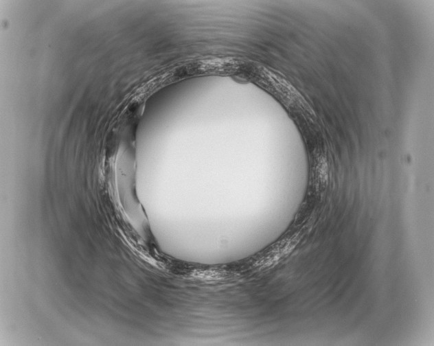 X0000085830914200704091654