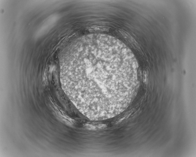 X0000085830915200704091654