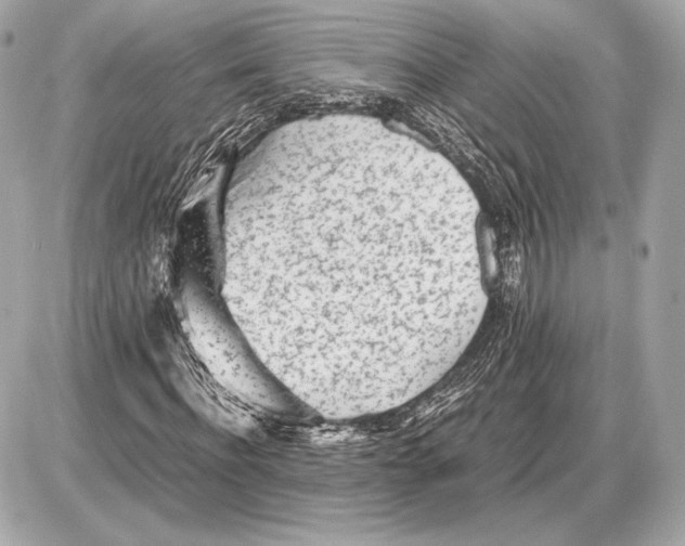 X0000085830916200704091654