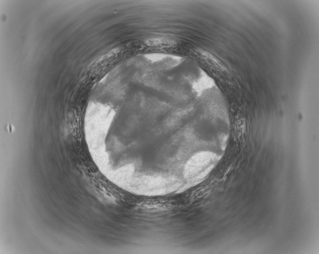 X0000085830917200704091654