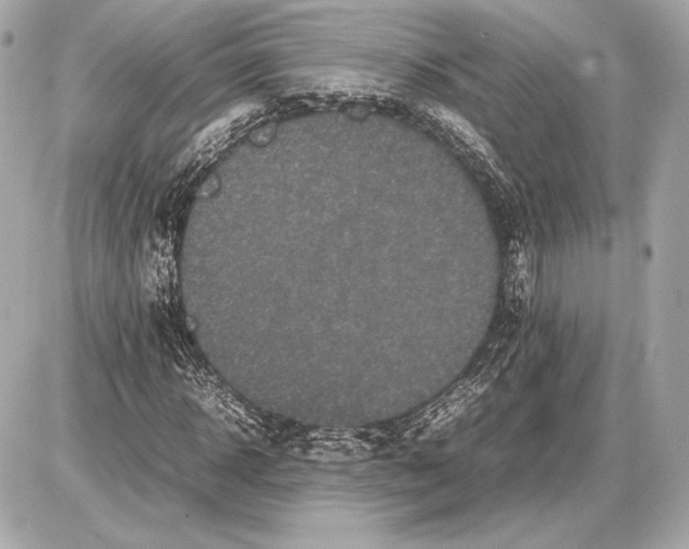 X0000085830918200704091654